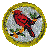 birdstudy badge