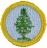 forestry badge