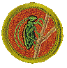 insectstudy badge
